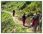 Himachal Chandertal Trekking Tour