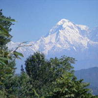 Almora
