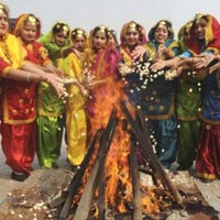 Lohri festival