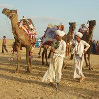 Rann Utsav