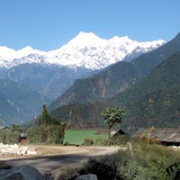 Pelling