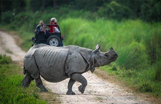 Assam Valley Tour